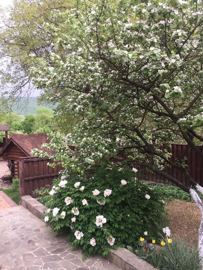 Гостевой дом Liubava Поляна-6